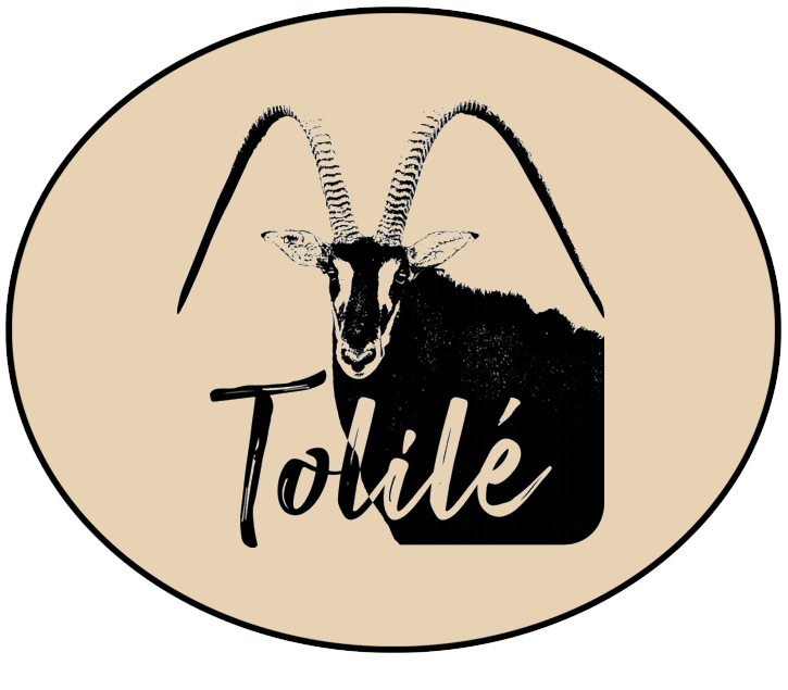 Tolile Lodge